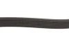 Поліклиновий ремінь CHRYSLER 200, TOWN & COUNTRY, VOYAGER V DODGE GRAND, JOURNEY FIAT FREEMONT FORD SCORPIO I, SCORPIO II, TRANSIT INFINITI FX LANCIA VOYAGER 2.0-5.0 11.88 DAYCO (6PK1955) зображення 4