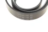 Поліклиновий ремінь CHRYSLER 200, TOWN & COUNTRY, VOYAGER V DODGE GRAND, JOURNEY FIAT FREEMONT FORD SCORPIO I, SCORPIO II, TRANSIT INFINITI FX LANCIA VOYAGER 2.0-5.0 11.88 DAYCO (6PK1955) зображення 5