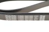 Поліклиновий ремінь CHRYSLER 200, TOWN & COUNTRY, VOYAGER V DODGE GRAND, JOURNEY FIAT FREEMONT FORD SCORPIO I, SCORPIO II, TRANSIT INFINITI FX LANCIA VOYAGER 2.0-5.0 11.88 DAYCO (6PK1955) зображення 6