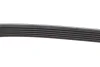 Ремень генератора поликлиновый DAYCO (6PK2030) изображение 6