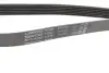 Ремінь генератора Chevrolet Captiva 2.0D 06- DAYCO (6PK2070) зображення 3