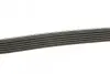 Фото Поліклиновий ремінь MERCEDES C (C204), C T-MODEL (S202), C T-MODEL (S204), C (W202), C (W204), CLK (A208), CLK (C208), E (A207), E (C207), E T-MODEL (S210), E T-MODEL (S212) 1.8-3.2 06.95 DAYCO (6PK2160) зображення 2
