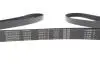 Фото Ремінь генератора MB Vito OM611 (+AC) DAYCO (6PK2175) зображення 4