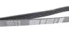 Ремінь генератора Ford DAYCO (6PK2185) зображення 2