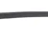 Ремінь генератора Ford DAYCO (6PK2185) зображення 3