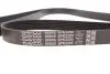 Фото Поліклиновий ремінь MERCEDES G (W463) NISSAN ALTIMA, PRIMERA, ROGUE, SENTRA V, TEANA I, X-TRAIL I SSANGYONG KORANDO 2.0-2.7D 07.01 DAYCO (6PK2250) зображення 3