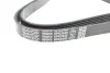 Фото Ремінь генератора MB E-class (W124/W211) 02-08 104/M113/Land Rover Range Rover 5.0SCV8 13 DAYCO (6PK2440) зображення 2