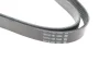 Фото Ремінь генератора MB E-class (W124/W211) 02-08 104/M113/Land Rover Range Rover 5.0SCV8 13 DAYCO (6PK2440) зображення 3