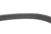 Фото Ремінь генератора MB E-class (W124/W211) 02-08 104/M113/Land Rover Range Rover 5.0SCV8 13 DAYCO (6PK2440) зображення 4