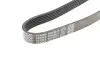 Фото Ремінь генератора Audi 100/A6 4.2 V8 92-97/A8 3.3 DAYCO (6PK2615) зображення 5