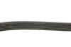 Фото Поліклиновий ремінь JEEP CHEROKEE, LIBERTY 2.5-2.8D 09.01 DAYCO (6PK2870) зображення 2