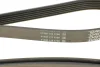 Фото Поліклиновий ремінь JEEP CHEROKEE, LIBERTY 2.5-2.8D 09.01 DAYCO (6PK2870) зображення 4
