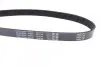 Фото Поліклиновий ремінь DAYCO (6PK725) зображення 2