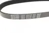 Фото Поліклиновий ремінь CITROEN BERLINGO, C2, C2 ENTERPRISE, C3 I, C3 II, C3 PLURIEL, C4, C4 I, C-ELYSEE, JUMPER I, JUMPY I, XSARA, ZX FIAT DUCATO, SCUDO PEUGEOT 1007, 206 1.0-1.9D 03.88 DAYCO (6PK730) зображення 3