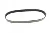 Фото Поліклиновий ремінь CITROEN BERLINGO, C2, C2 ENTERPRISE, C3 I, C3 II, C3 PLURIEL, C4, C4 I, C-ELYSEE, JUMPER I, JUMPY I, XSARA, ZX FIAT DUCATO, SCUDO PEUGEOT 1007, 206 1.0-1.9D 03.88 DAYCO (6PK730) зображення 5