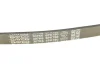 Ремень генератора поликлиновый DAYCO (6PK780) изображение 5