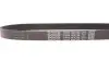 Ремень генератора поликлиновый DAYCO (6PK798) изображение 4
