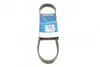 Поліклиновий ремінь (6PK799) AUDI A1, A3, Q3, TT SEAT ATECA, LEON, LEON SC, LEON ST, TOLEDO IV SKODA KODIAQ I, OCTAVIA III, RAPID, SCALA, YETI VW BEETLE, CADDY ALLTRACK IV 1.4-2.0D 05.09 DAYCO (6PK799EE) зображення 1