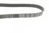 Поліклиновий ремінь (6PK799) AUDI A1, A3, Q3, TT SEAT ATECA, LEON, LEON SC, LEON ST, TOLEDO IV SKODA KODIAQ I, OCTAVIA III, RAPID, SCALA, YETI VW BEETLE, CADDY ALLTRACK IV 1.4-2.0D 05.09 DAYCO (6PK799EE) зображення 2