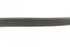 Поліклиновий ремінь (6PK799) AUDI A1, A3, Q3, TT SEAT ATECA, LEON, LEON SC, LEON ST, TOLEDO IV SKODA KODIAQ I, OCTAVIA III, RAPID, SCALA, YETI VW BEETLE, CADDY ALLTRACK IV 1.4-2.0D 05.09 DAYCO (6PK799EE) зображення 3