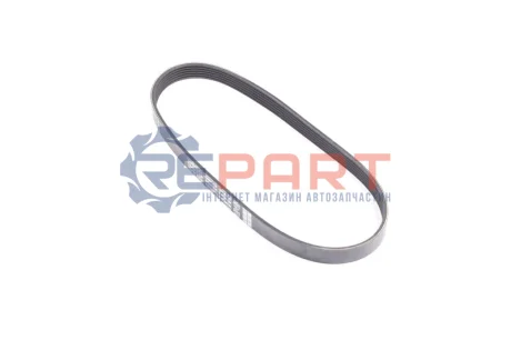 Поліклиновий ремінь (6PK803) DAYCO 6PK803K Купити в Україні