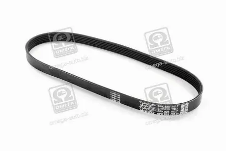 Поліклиновий ремінь DAYCO 6PK825 Купити в Україні