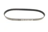 Ремень генератора поликлиновый DAYCO (6PK853) изображение 5
