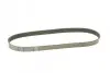 Фото Поліклиновий ремінь OPEL MOVANO A RENAULT 19 I, 19 I CHAMADE, 19 II, 19 II CHAMADE, MASTER II TOYOTA YARIS 1.0-2.5D 09.88-12.11 DAYCO (6PK870) зображення 5