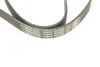Фото Ремень генератора поликлиновый DAYCO (6PK885) изображение 5