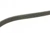 Фото Ремень генератора поликлиновый DAYCO (6PK888) изображение 2