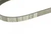 Фото Ремень генератора поликлиновый DAYCO (6PK888) изображение 4