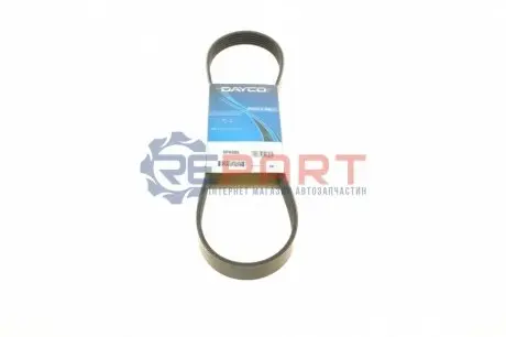 Поліклиновий ремінь CHRYSLER PT CRUISER CITROEN JUMPY I DAIHATSU CHARADE VIII NISSAN BLUEBIRD, CEFIRO III, MAXIMA / MAXIMA QX IV, MAXIMA / MAXIMA QX V, PRAIRIE PRO 1.0-3.0 11.83 DAYCO 6PK888 Купити в Україні