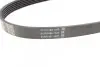 Фото Поліклиновий ремінь DACIA SOLENZA FIAT DUCATO, SCUDO OPEL ASTRA F, CORSA B, GRANDLAND / GRANDLAND X, TIGRA RENAULT CLIO I, CLIO II, KANGOO, KANGOO EXPRESS, RAPID 1.4-2.5D 02.88 DAYCO (6PK894) зображення 3