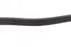 Фото Поліклиновий ремінь DACIA SOLENZA FIAT DUCATO, SCUDO OPEL ASTRA F, CORSA B, GRANDLAND / GRANDLAND X, TIGRA RENAULT CLIO I, CLIO II, KANGOO, KANGOO EXPRESS, RAPID 1.4-2.5D 02.88 DAYCO (6PK894) зображення 4