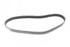 Фото Поліклиновий ремінь DACIA SOLENZA FIAT DUCATO, SCUDO OPEL ASTRA F, CORSA B, GRANDLAND / GRANDLAND X, TIGRA RENAULT CLIO I, CLIO II, KANGOO, KANGOO EXPRESS, RAPID 1.4-2.5D 02.88 DAYCO (6PK894) зображення 5