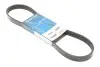 Фото Ремень генератора DAYCO (6PK895DT) изображение 2