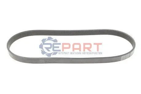 Ремінь генератора Citroen C4/C5 14-/Renault Kangoo/Clio 1.9D 97- (6PK893XS) DAYCO 6PK895DT Купити в Україні