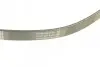 Фото Поліклиновий ремінь AUDI A3 RENAULT CLIO I, CLIO II, KANGOO, KANGOO EXPRESS, RAPID, THALIA I SEAT ALTEA, ALTEA XL, LEON, TOLEDO III SKODA OCTAVIA II VW CADDY III, EOS 1.6-2.0CNG 01.91 DAYCO (6PK900) зображення 2