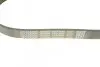 Фото Поліклиновий ремінь AUDI A3 RENAULT CLIO I, CLIO II, KANGOO, KANGOO EXPRESS, RAPID, THALIA I SEAT ALTEA, ALTEA XL, LEON, TOLEDO III SKODA OCTAVIA II VW CADDY III, EOS 1.6-2.0CNG 01.91 DAYCO (6PK900) зображення 3
