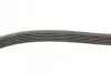 Фото Поліклиновий ремінь AUDI A3 RENAULT CLIO I, CLIO II, KANGOO, KANGOO EXPRESS, RAPID, THALIA I SEAT ALTEA, ALTEA XL, LEON, TOLEDO III SKODA OCTAVIA II VW CADDY III, EOS 1.6-2.0CNG 01.91 DAYCO (6PK900) зображення 4
