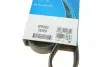 Фото Поліклиновий ремінь AUDI A3 RENAULT CLIO I, CLIO II, KANGOO, KANGOO EXPRESS, RAPID, THALIA I SEAT ALTEA, ALTEA XL, LEON, TOLEDO III SKODA OCTAVIA II VW CADDY III, EOS 1.6-2.0CNG 01.91 DAYCO (6PK900) зображення 6