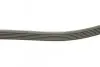 Фото Поліклиновий ремінь AUDI A3 MITSUBISHI MIRAGE / SPACE STAR VI SEAT INCA, LEON, TOLEDO II SKODA OCTAVIA I VW BORA, BORA I, CADDY, CADDY II, CADDY III, CORRADO, GOLF IV 1.0-2.0 04.93 DAYCO (6PK906) зображення 2