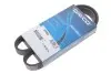 Фото Поліклиновий ремінь FIAT DUCATO FORD ECOSPORT, FIESTA VII, KA+ III, TOURNEO COURIER B460, TRANSIT COURIER B460 HONDA ACCORD VI 1.5D-2.8D 10.97 DAYCO (6PK946) зображення 2