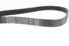 Фото Поліклиновий ремінь FIAT DUCATO FORD ECOSPORT, FIESTA VII, KA+ III, TOURNEO COURIER B460, TRANSIT COURIER B460 HONDA ACCORD VI 1.5D-2.8D 10.97 DAYCO (6PK946) зображення 4