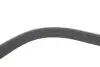 Фото Поліклиновий ремінь (7PK1051) DACIA DOKKER, DUSTER, LODGY LADA VESTA, XRAY RENAULT CAPTUR I, EXPRESS, FLUENCE, KAPTUR, LOGAN/STEPWAY II, MEGANE IV, SANDERO/STEPWAY II 1.6/1.6ALK/1.6LPG 01.13 DAYCO (7PK1051EE) зображення 3