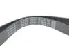Фото Поліклиновий ремінь (7PK1051) DACIA DOKKER, DUSTER, LODGY LADA VESTA, XRAY RENAULT CAPTUR I, EXPRESS, FLUENCE, KAPTUR, LOGAN/STEPWAY II, MEGANE IV, SANDERO/STEPWAY II 1.6/1.6ALK/1.6LPG 01.13 DAYCO (7PK1051EE) зображення 4