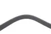 Фото Поліклиновий ремінь TOYOTA DYNA, HIACE / COMMUTER V, HIACE IV, HIACE V, HILUX VI, HILUX VII 2.4D/2.5D/3.0D 08.95 DAYCO (7PK1095) зображення 3