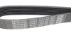 Фото Поліклиновий ремінь BMW 1 (E81), 1 (E82), 1 (E87), 1 (E88), 3 (E90), 3 (E91), 3 (E92), 3 (E93) NISSAN INTERSTAR RENAULT MASTER II 1.6-2.5D 12.97 DAYCO (7PK1103) зображення 4