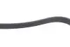 Фото Поліклиновий ремінь BMW 7 (F01, F02, F03, F04), X5 (E70) LEXUS IS II TOYOTA AURIS, AVENSIS, COROLLA, RAV 4 III, RAV 4 IV, VERSO 2.0D-4.4H 08.05-09.19 DAYCO (7PK1370) зображення 3