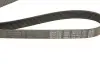Фото Поліклиновий ремінь BMW Z4 (E89) TOYOTA DYNA, HIACE / COMMUTER V, HIACE IV, HIACE V, HILUX VI 2.4D-3.0D 08.95 DAYCO (7PK1473) зображення 4